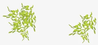 绿色手绘美景树枝免抠