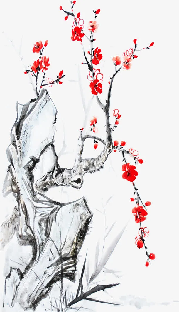 寒梅免抠