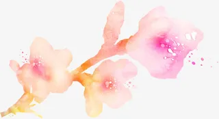 手绘粉色唯美桃花插图免抠