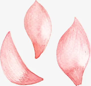 粉色花瓣免抠