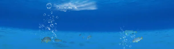 蓝色海洋海底清新背景banner