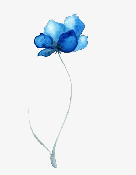 水彩花朵免抠