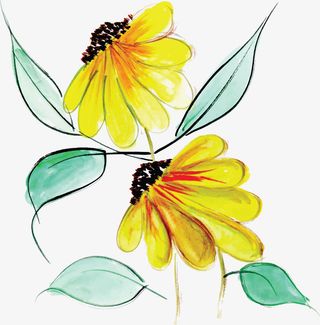 黄色手绘春天花朵免抠