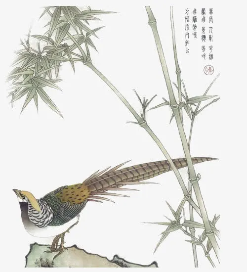 竹子免抠