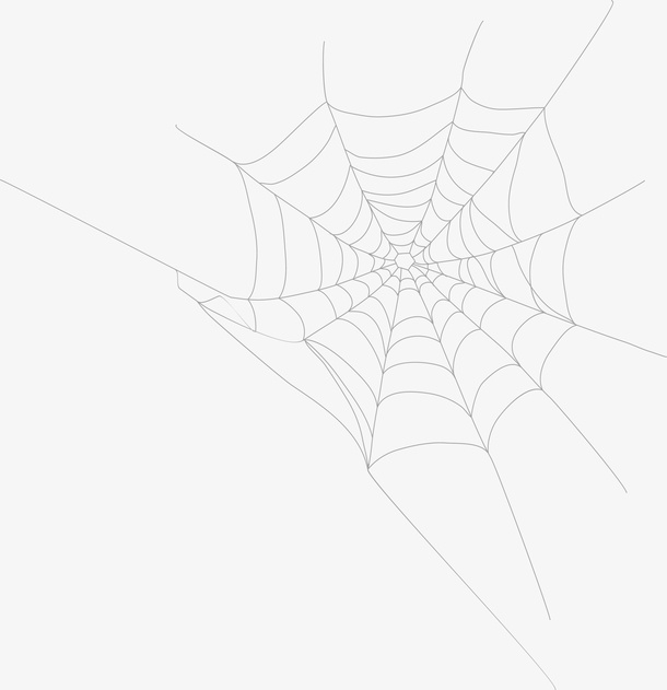 黑色线条蜘蛛网免抠