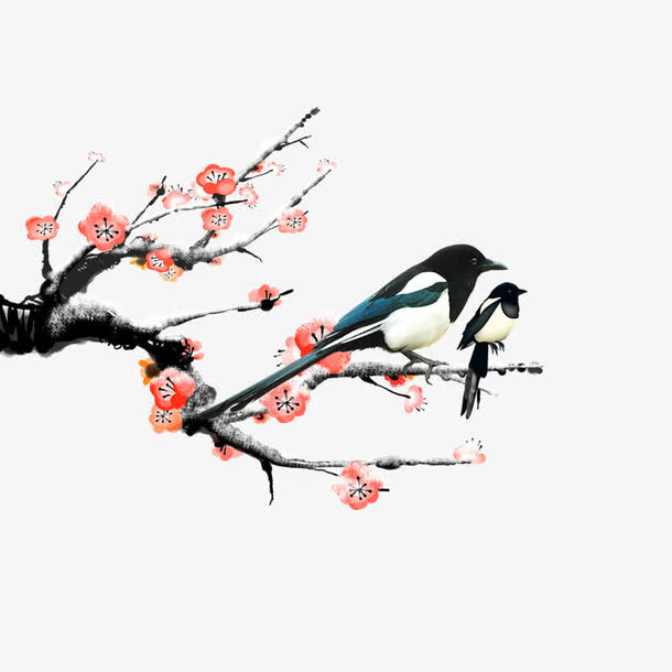 喜鹊免抠
