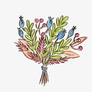 彩色花朵植物花束免抠