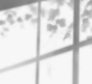 手绘创意树叶窗口阴影免抠