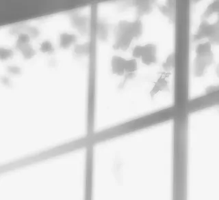 手绘创意树叶窗口阴影免抠