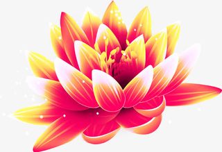 手绘黄粉色鲜花装饰免抠