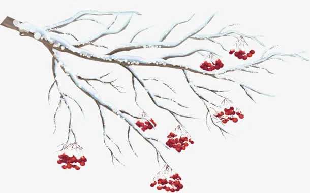 雪花 树枝 小红果png素材免抠