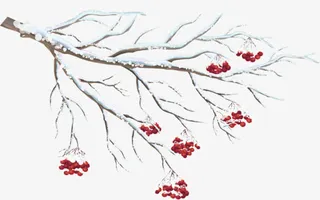雪花 树枝 小红果png素材免抠