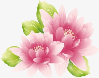 柔美牡丹七夕免抠