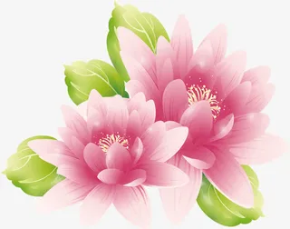 柔美牡丹七夕免抠