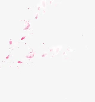 粉色漂浮花瓣免抠