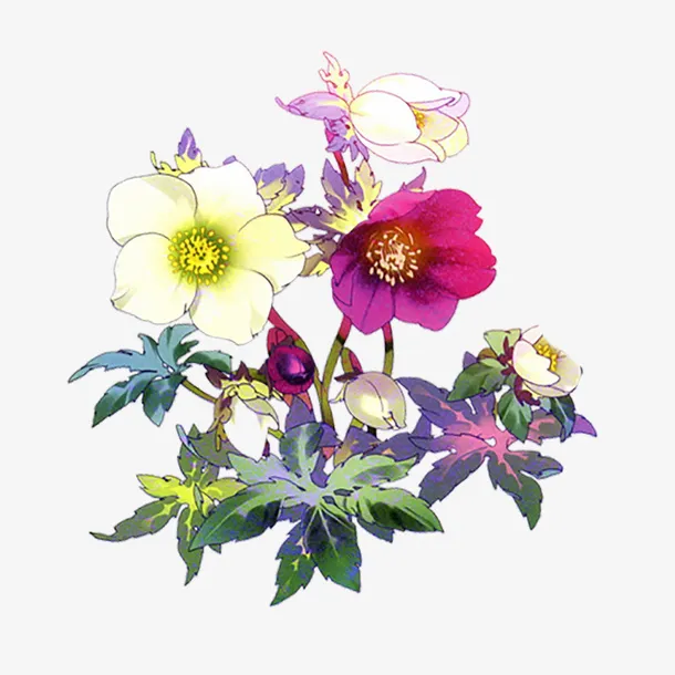 水彩花朵免抠
