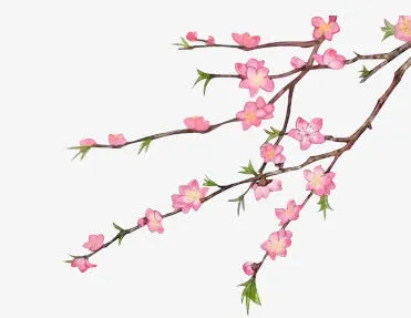 水彩红色花朵淡黑色树枝免抠
