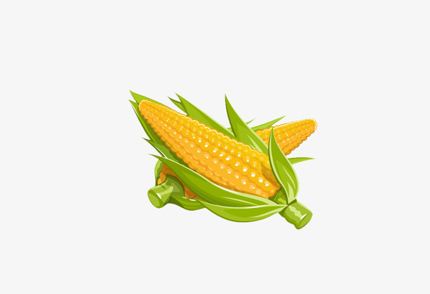 手绘玉米免抠