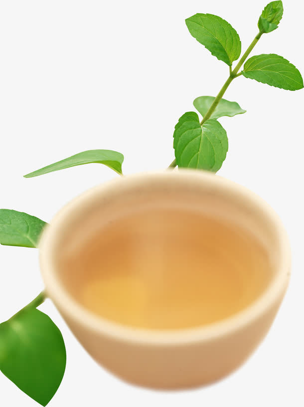 可爱春天手绘唯美树叶免抠