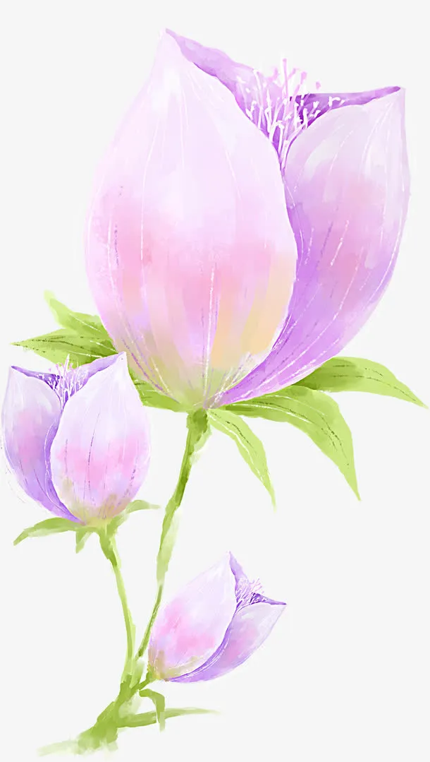 手绘紫色浪漫梦幻花朵盛开免抠