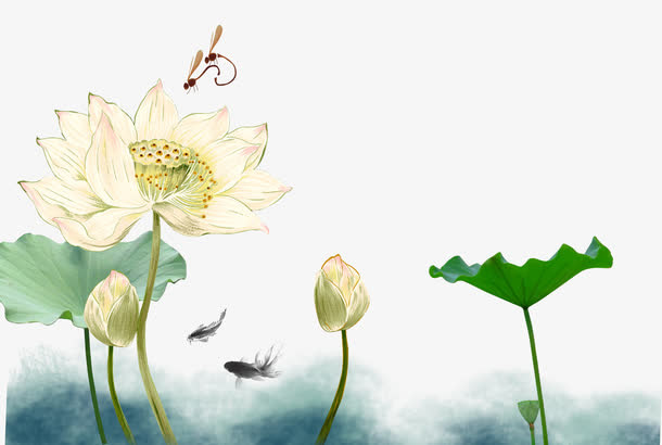 梦幻荷花免抠