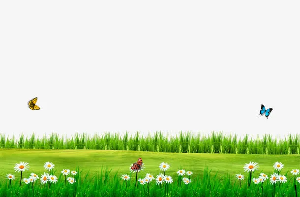 春季草地免抠