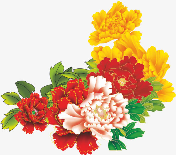 牡丹花免抠