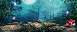 淘宝森林背景图高清