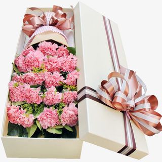 一束康乃馨免抠