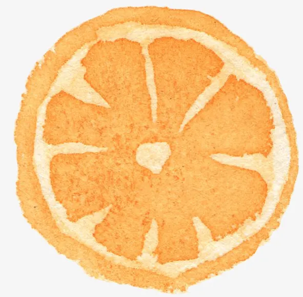 手绘橙子免抠
