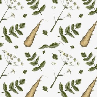 果蔬图案设计免抠