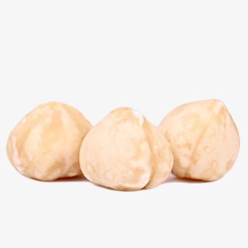 大颗优质榛子仁免抠