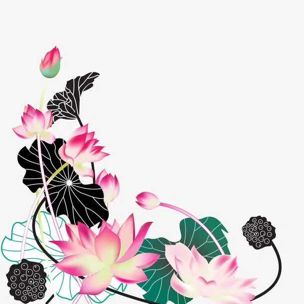 荷花免抠