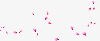 漫天飞舞的轻盈的花瓣免抠