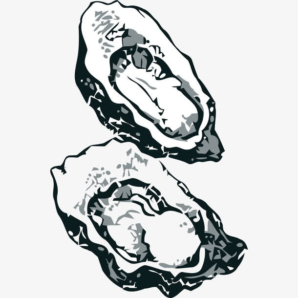 矢量手绘素描鲍鱼素材免抠