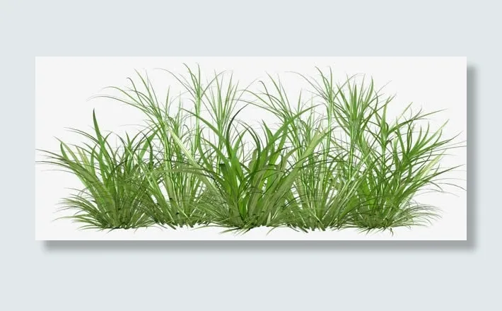绿色草堆 草从免抠