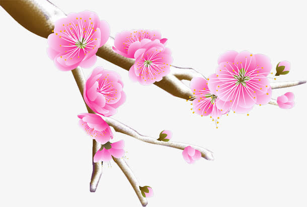 梅免抠