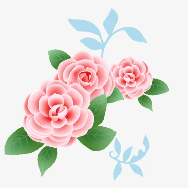 鲜花免抠