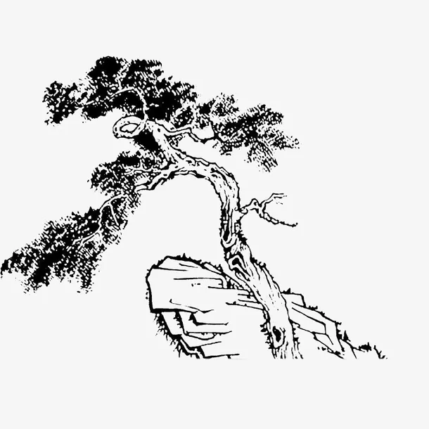 悬崖上成长的古树手绘图免抠