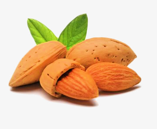 美味的扁桃仁素材图片免抠