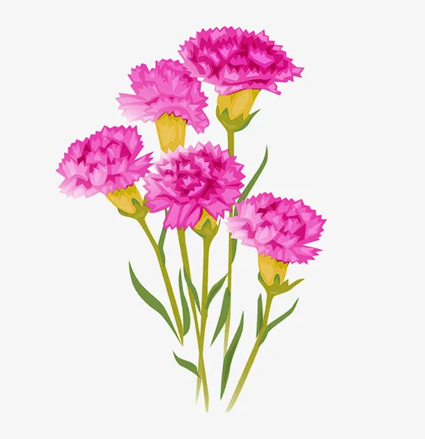 紫色手绘康乃馨装饰图案免抠