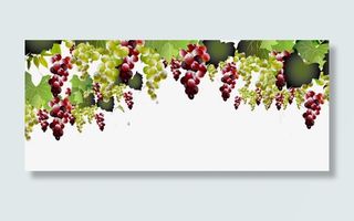 一排葡萄免抠