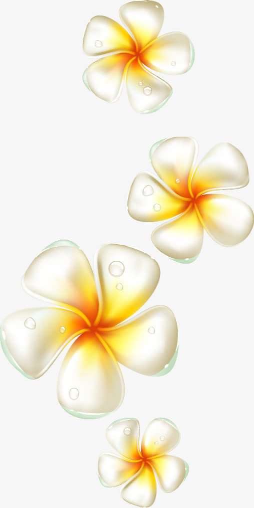鸡蛋花朵元素免抠