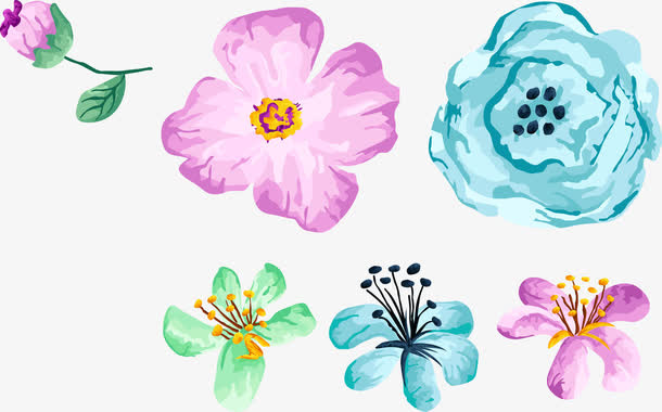水彩花卉免抠