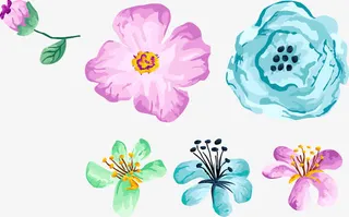 水彩花卉免抠