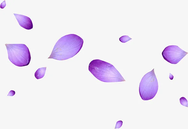 碎花瓣水墨花瓣免抠