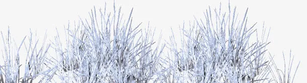 雾凇草地免抠