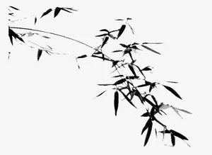 水墨竹子免扣透明png高清图片免抠