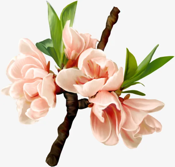 彩色春天花朵盛开免抠