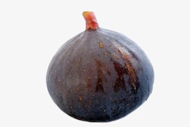 无花果免抠